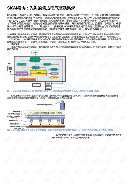 Skai模塊 先進(jìn)的集成電氣驅(qū)動(dòng)系統(tǒng)資源與信息系統(tǒng)集成服務(wù)