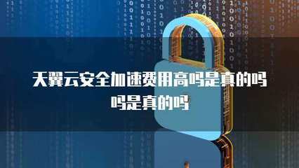 應用加速與互聯網安全服務 費用、安全性與真實性解析